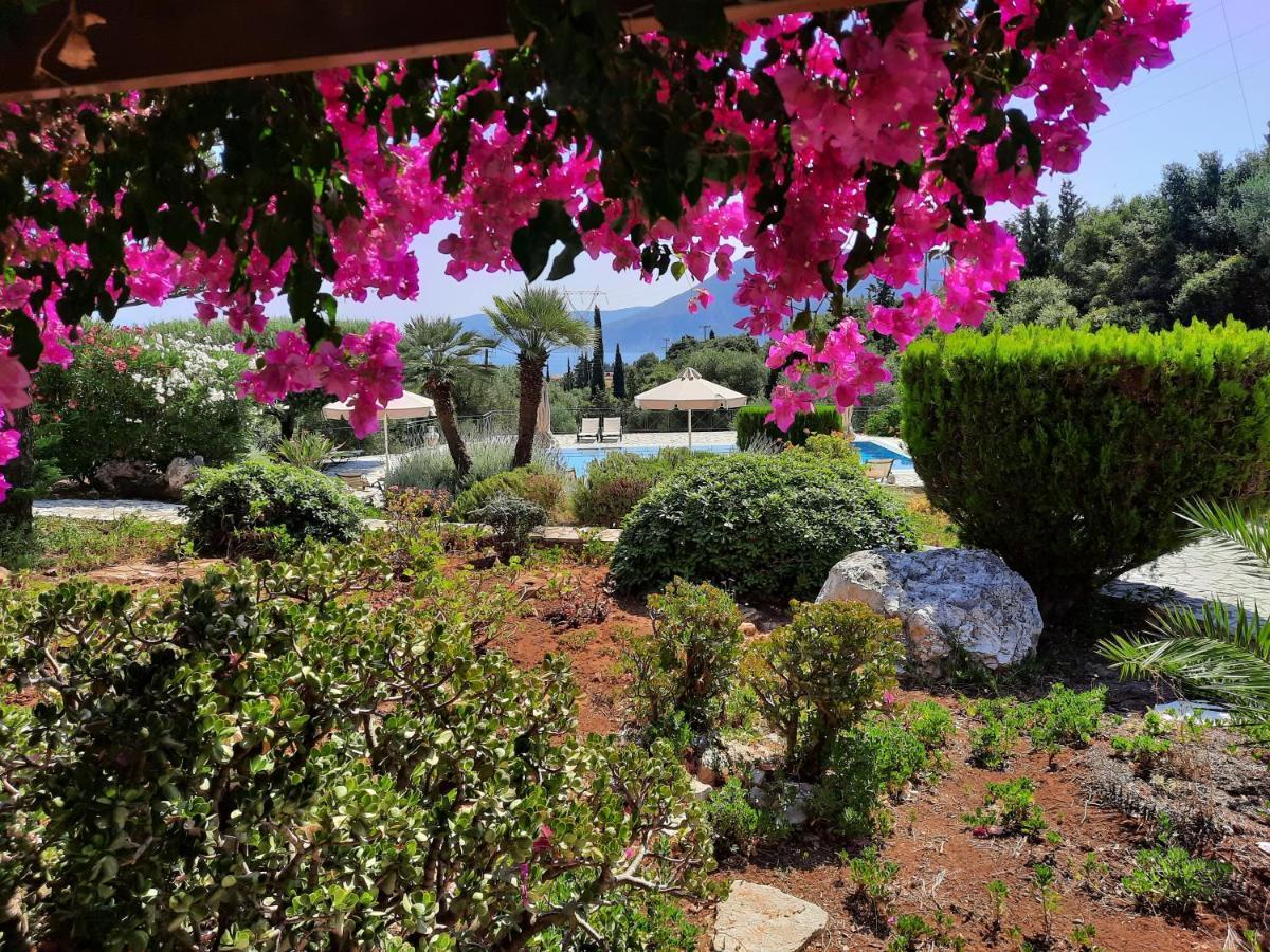 Panorama Apartments Fiscardo Fiskardo Esterno foto